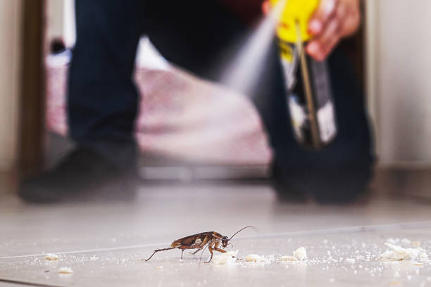 Best Mosquito Control Services  in USA